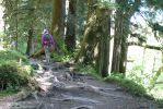 PICTURES/Ho Rainforest - Ho Trail/t_Sharon on Trail.JPG